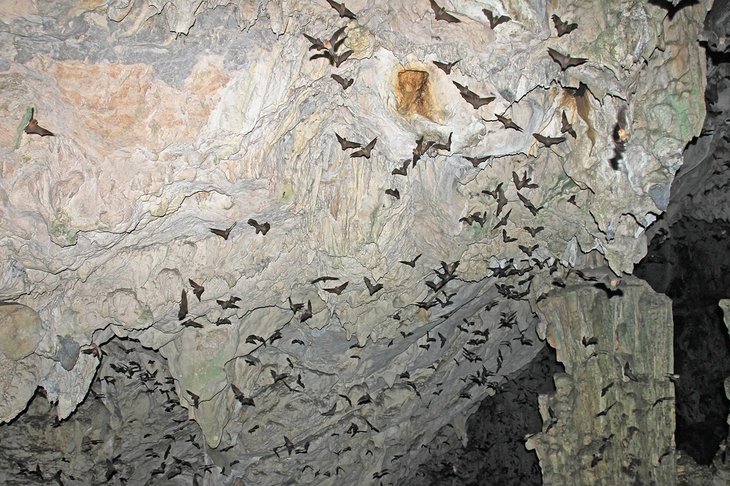 Grutas de Lanquín (grottes de Lanquín) et Semuc Champey