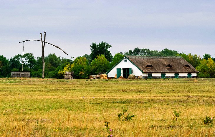 Hortobágy National Park and the Puszta