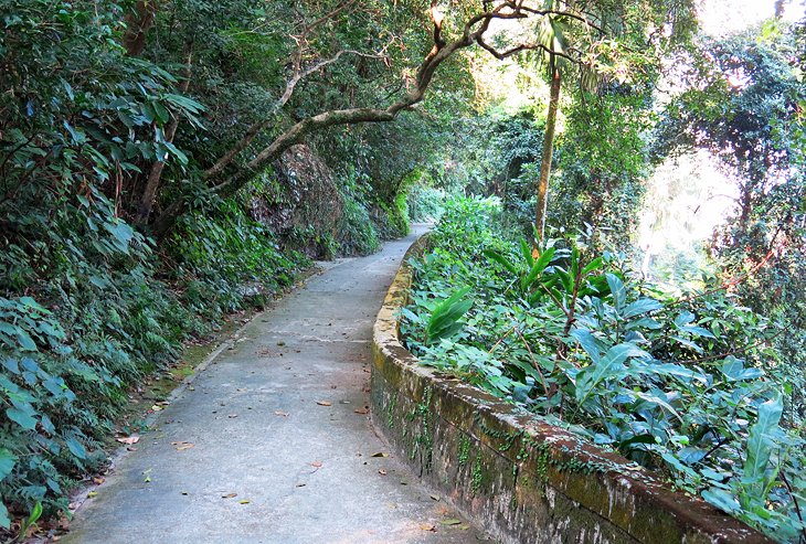 Hiking Down from the Peak