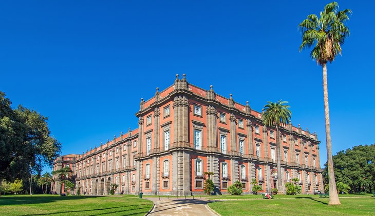 القصر الملكي ومتحف كابوديمونتي
