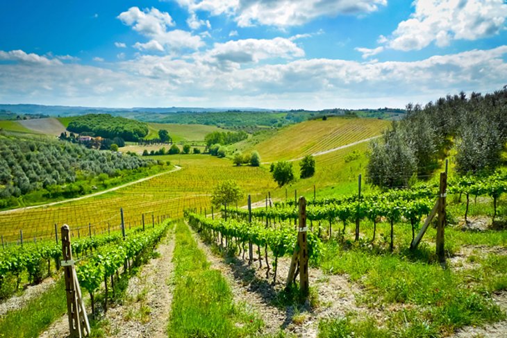 Hills near Certaldo, Tuscany