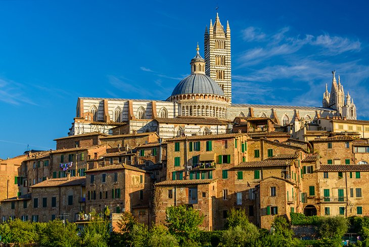 Siena