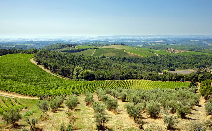 Monti del Chianti