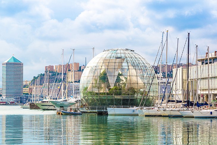 Acquario di Genova (Aquarium)