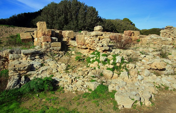 Mozia Excavations