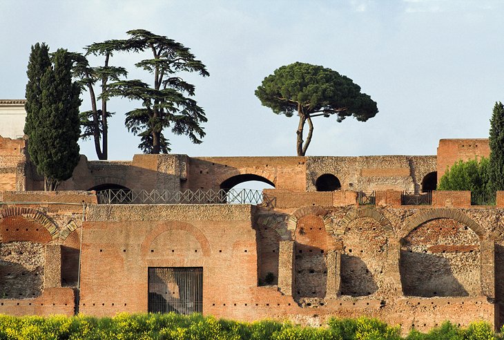 Baths of Septimius Severus