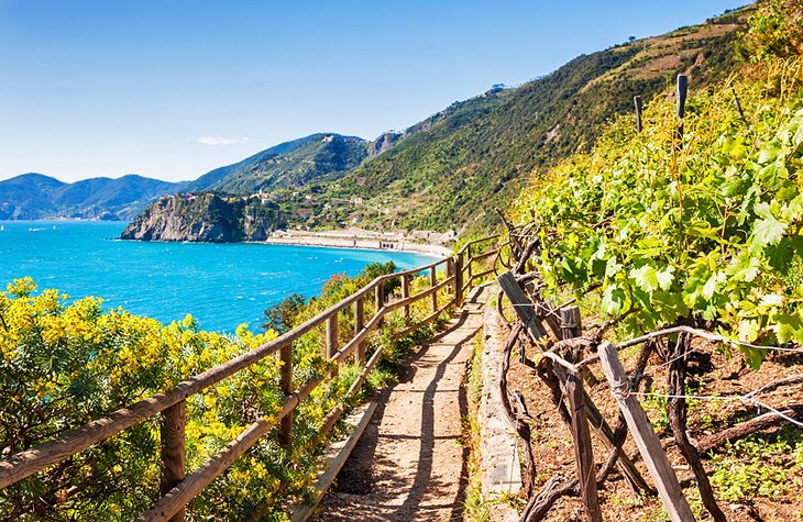 Cinque Terre trail