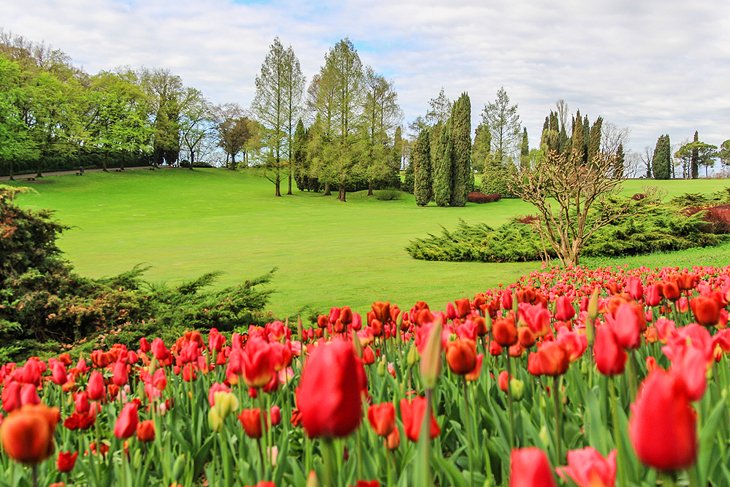 Parco Giardino Sigurtà