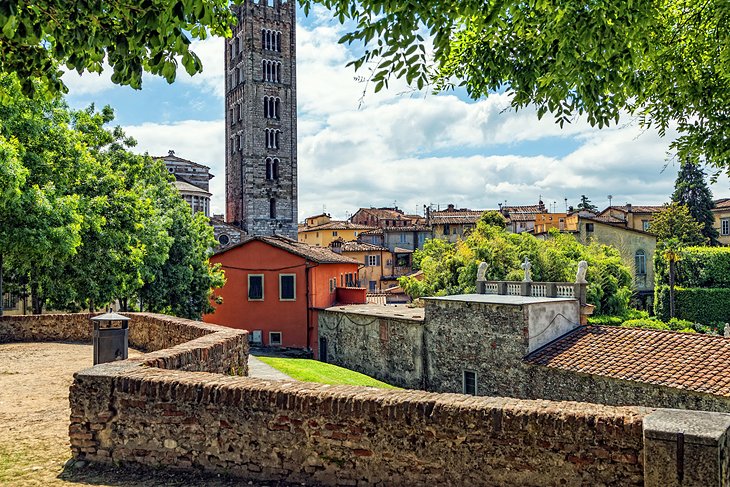 Lucca's town walls