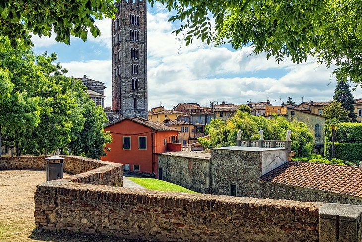 Lily det er alt død 15 Top-Rated Attractions & Things to Do in Lucca | PlanetWare