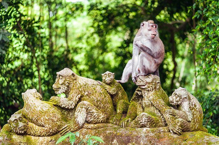 Monkey forest is a tourist attraction in Bali, Indonesia