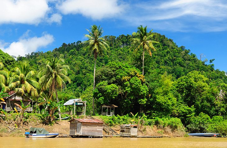 Dayak village on the Kayan River