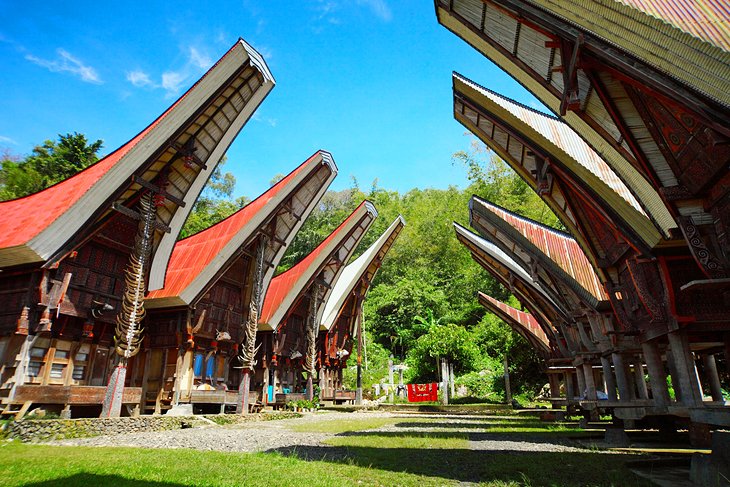 Tongkonan, traditional homes