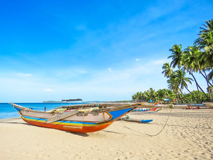 morgenmad Formand Missionær 12 Top-Rated Beaches in Sri Lanka | PlanetWare