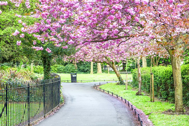 St. Stephen's Green, Dublin