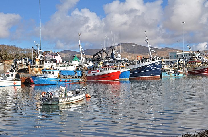 14 mejores destinos de pesca en Irlanda