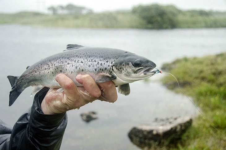 14 mejores destinos de pesca en Irlanda