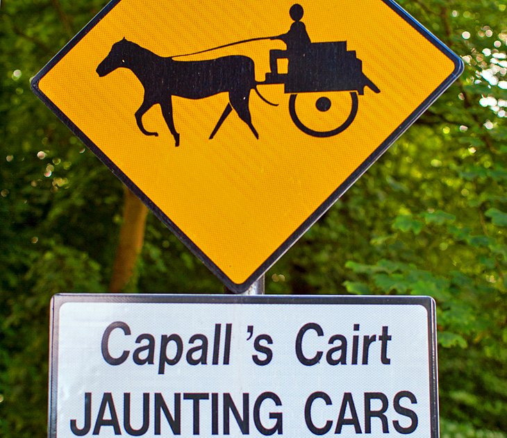 Jaunting cars sign