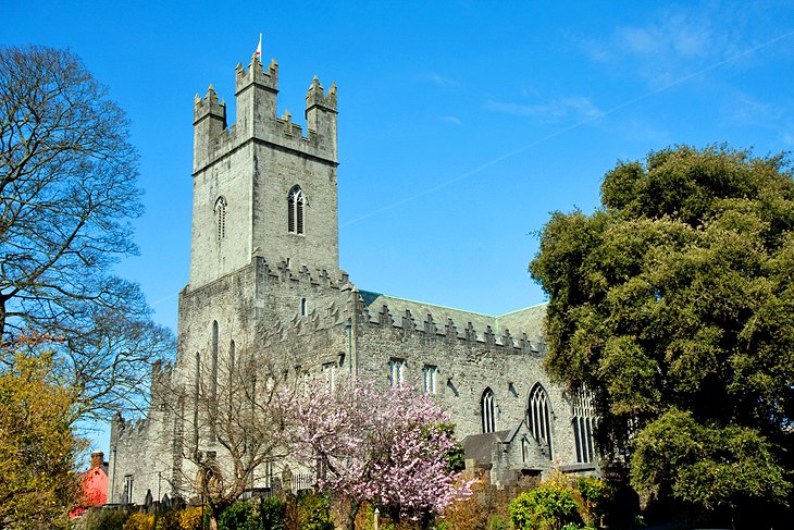 tourist attractions in limerick county