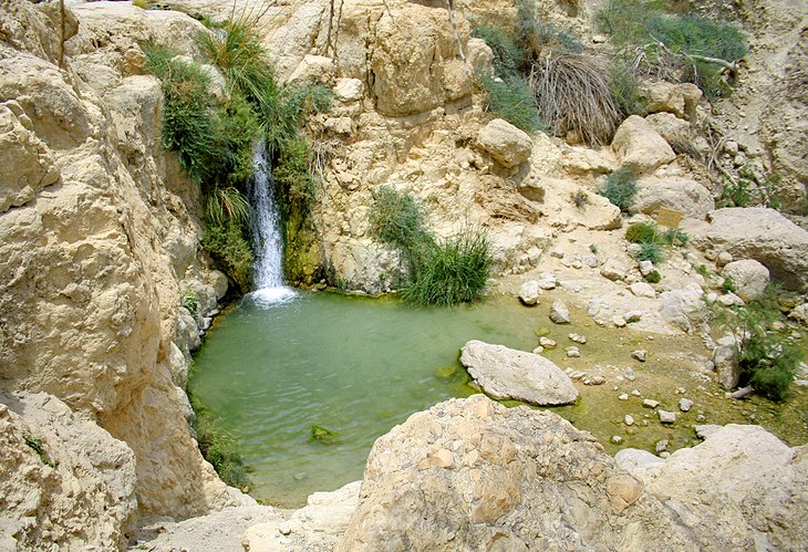 Wadi David