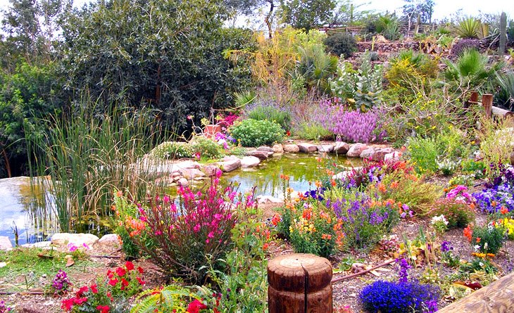 Botanical Garden in Eilat