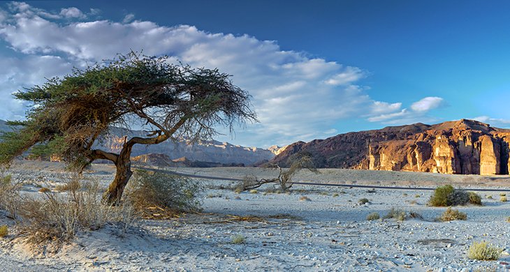 Timna Park