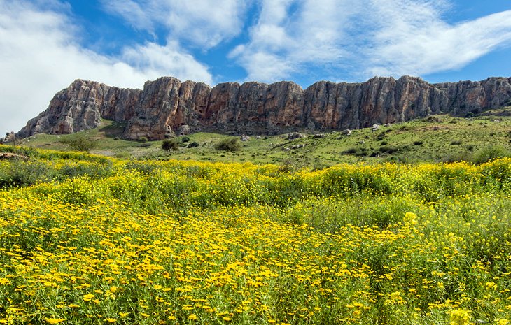 Arbel National Park