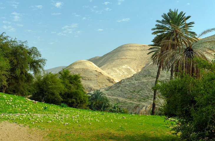 Wadi Qelt