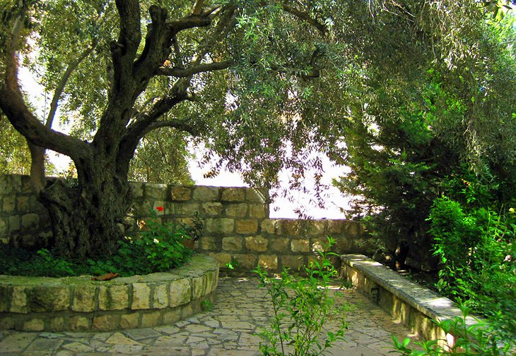 Jacob's Well