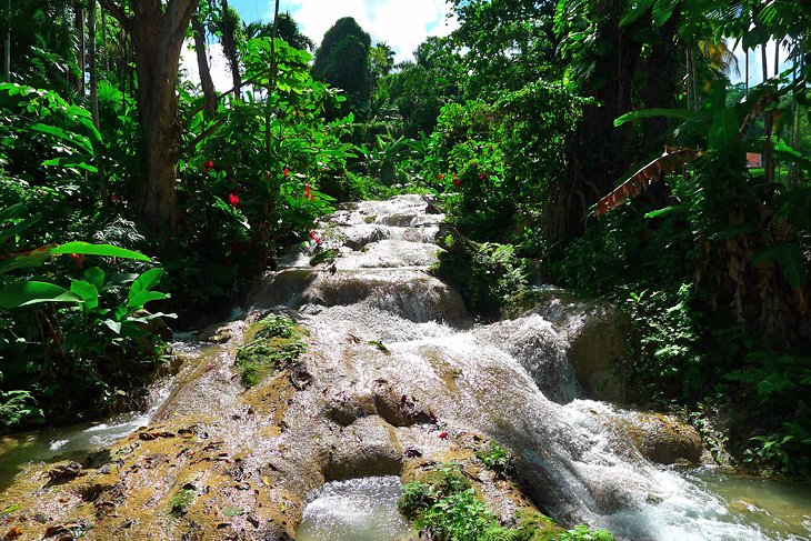 Turtle River Falls and Gardens