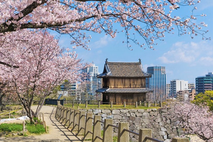 Fukuoka Castle and the City's Ancient Festivals