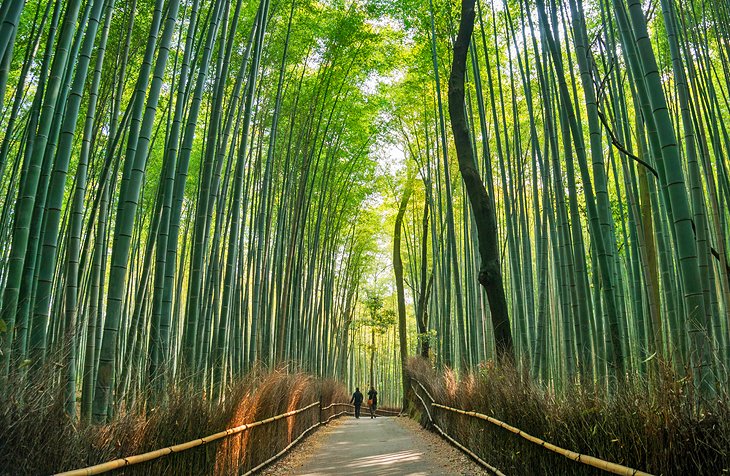 21 Top-Rated Tourist Attractions in Japan - Attractive Scenes