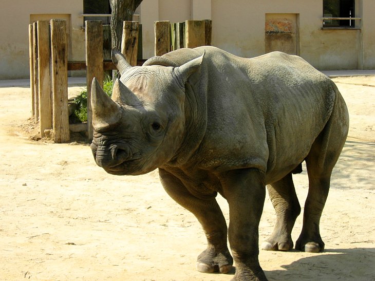 Hiroshima City Asa Zoological Park