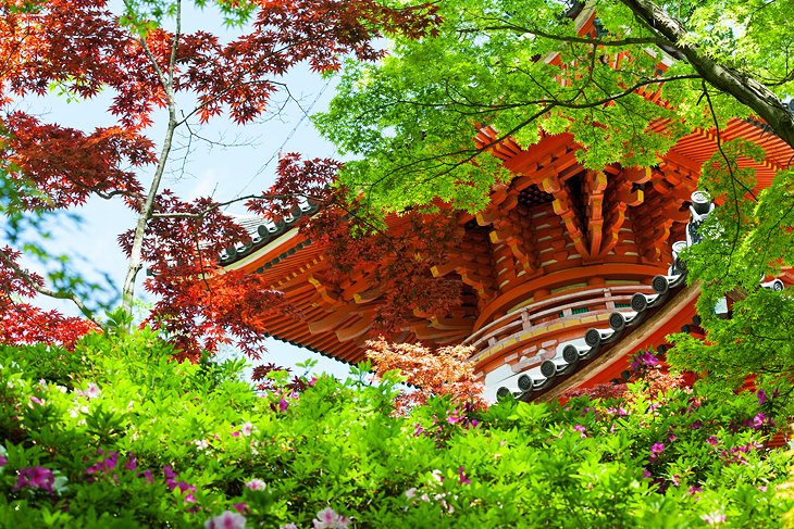 Mitaki-dera Temple