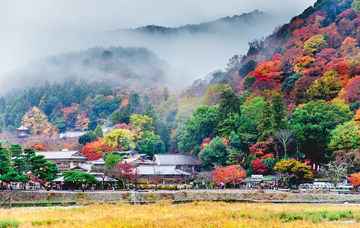 Arashiyama