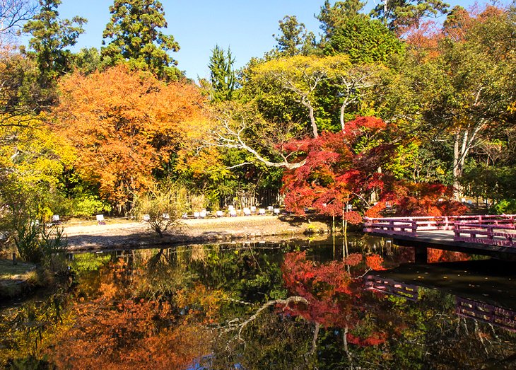 The Manyo Botanical Garden