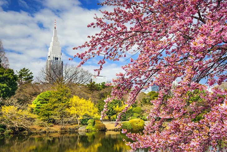 Shinjuku Gyoen National Garden