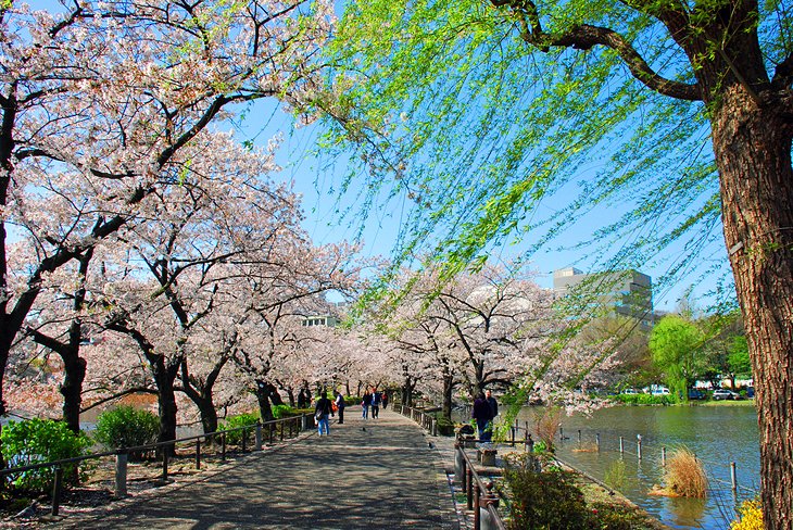 Ueno Park and Ueno Zoo