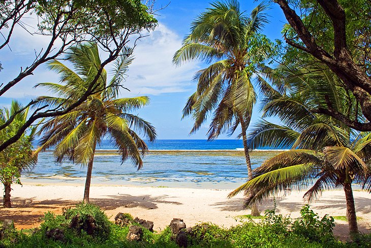 South Coast Beaches