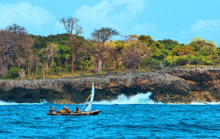Pêcheurs de l'île Wasini