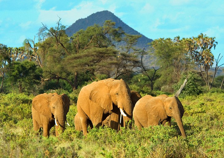 15 atracciones turísticas mejor calificadas en Kenia