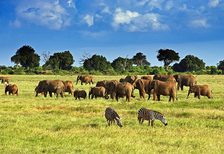 15 atracciones turísticas mejor calificadas en Kenia