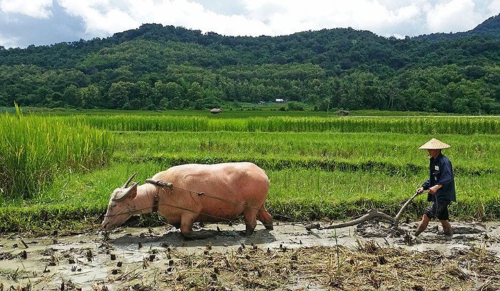 The Living Land Farm