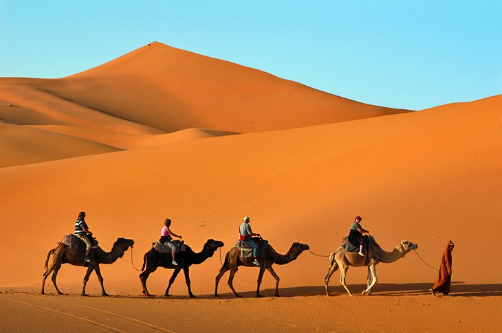 Camel trekking in Erg Chebbi