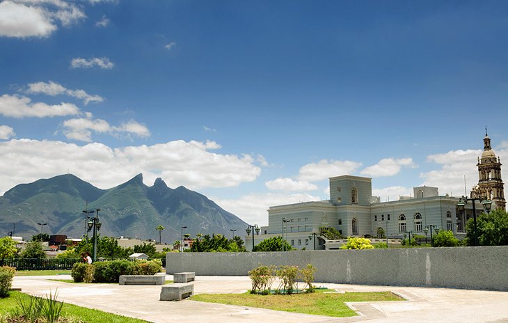 View from Macroplaza