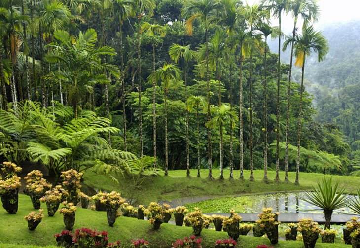 Balata Botanical Garden