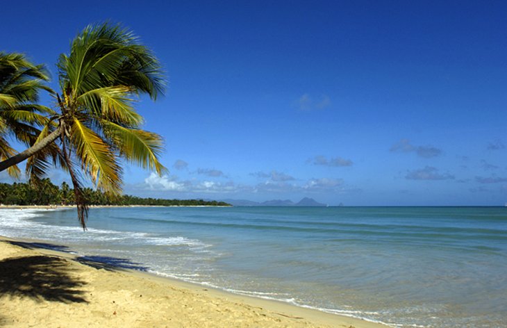 15 atracciones turísticas mejor valoradas en Martinica