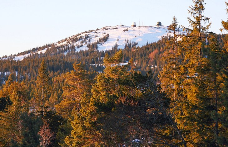 Fjellseter Gråkallen