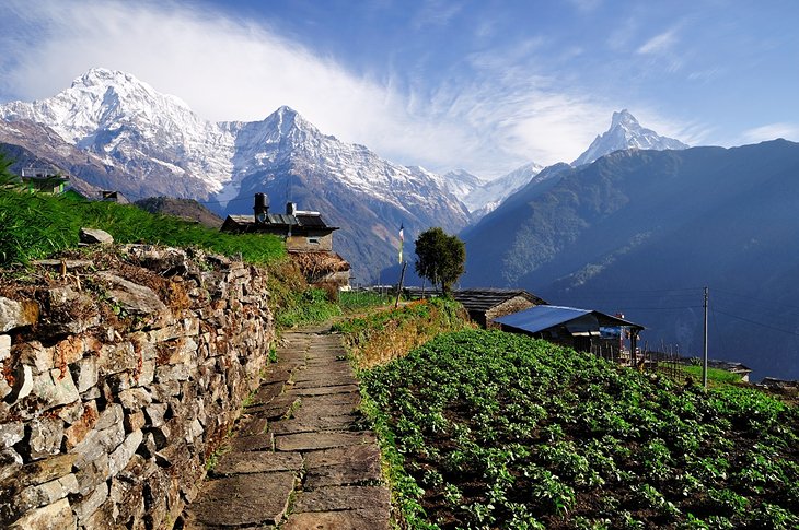 12 atracciones turísticas mejor calificadas en Nepal