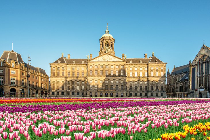 24 Top-Rated Attractions & to Do in Amsterdam | PlanetWare